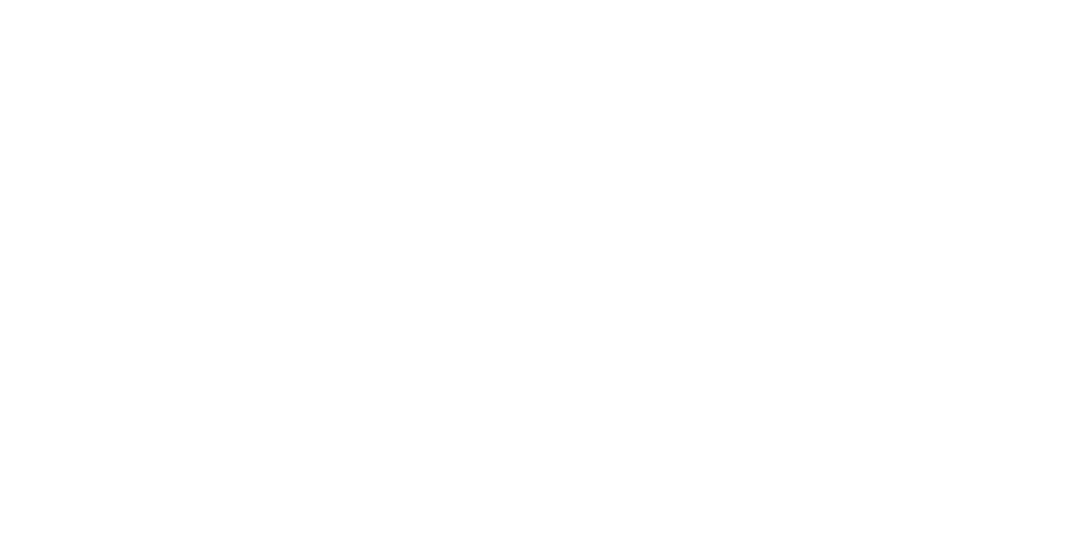 Chicago Importing Company